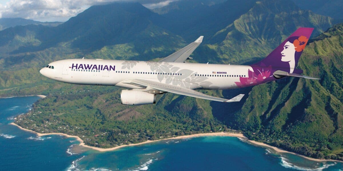 「Passenger Van Arrival」Honolulu Airport ⮕ North Shore Hotels Exclusive Transfer