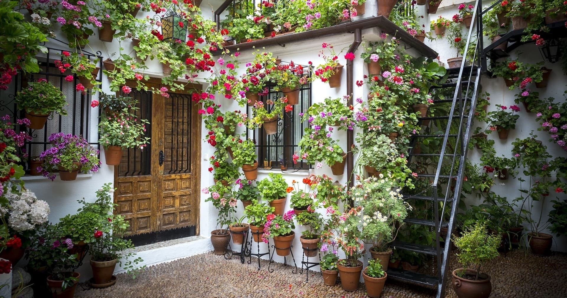 Visita Guiada Patios fuera de Concurso