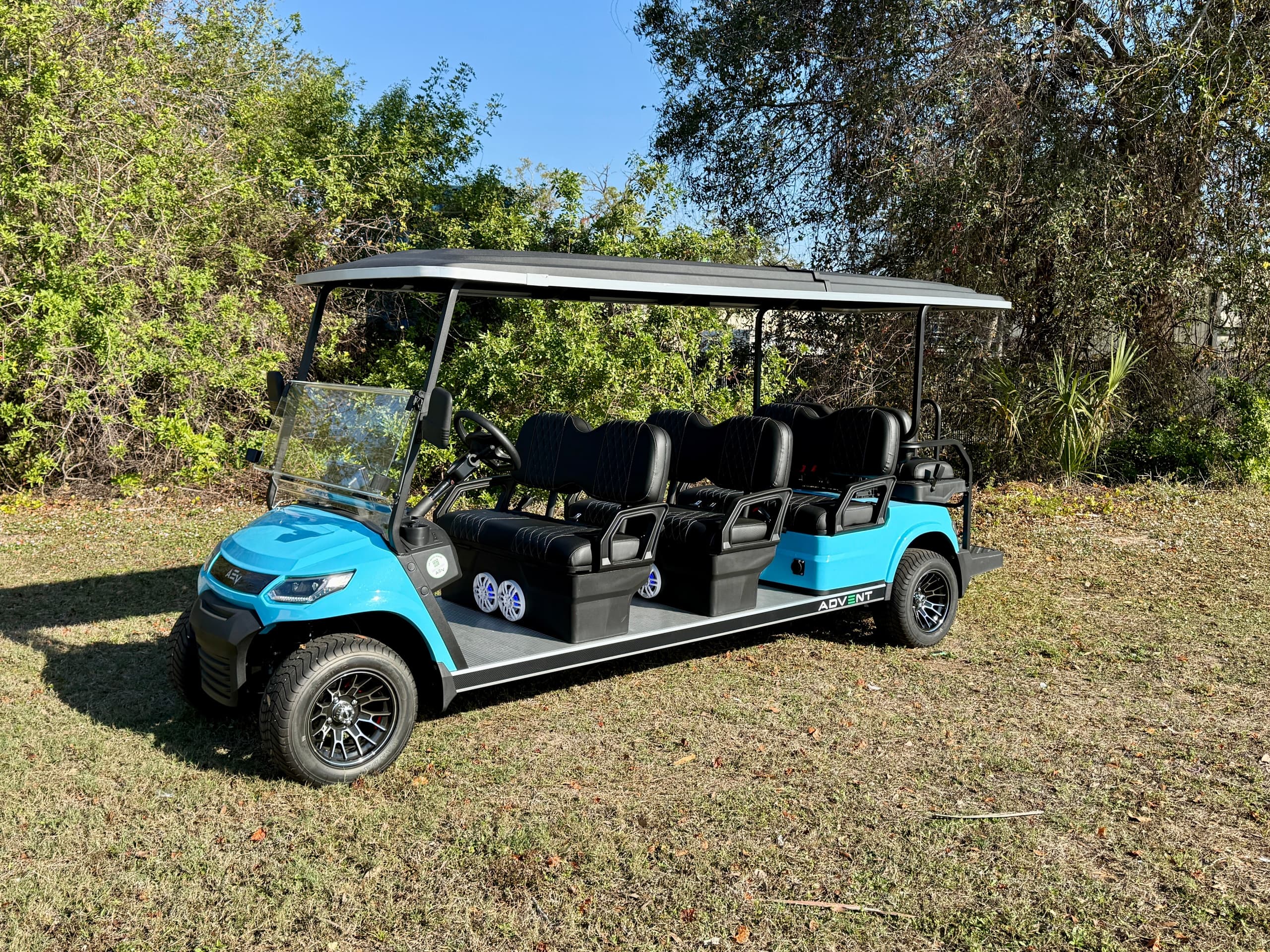8 Passenger Electric Golf Cart Rental