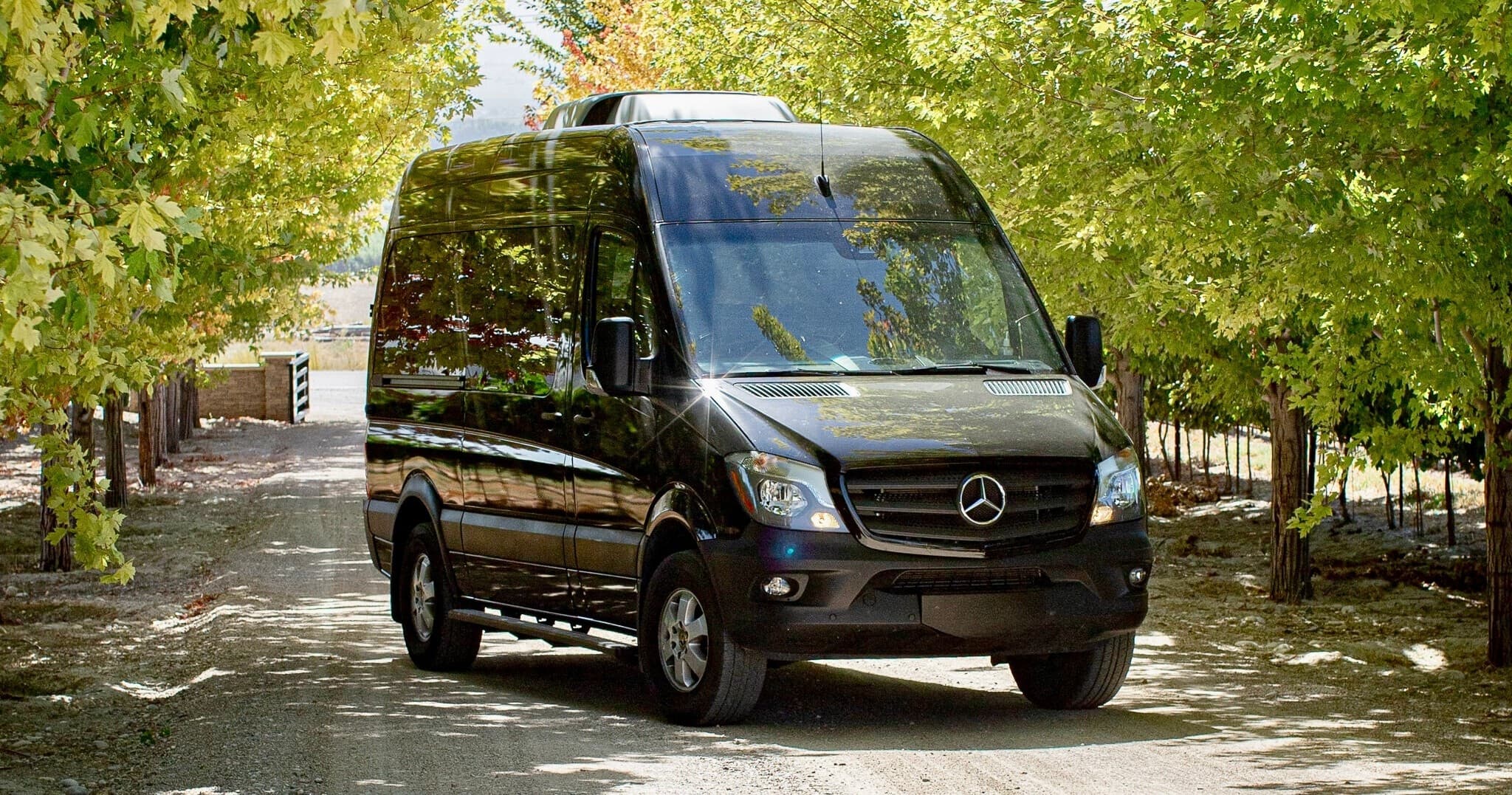Premium Wine Tour • Up to 11 People