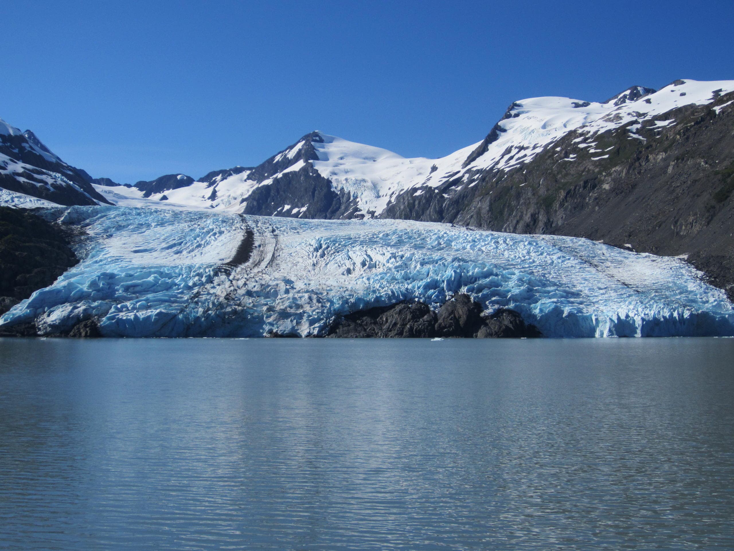 Glacier & Wildlife Explorer Tour