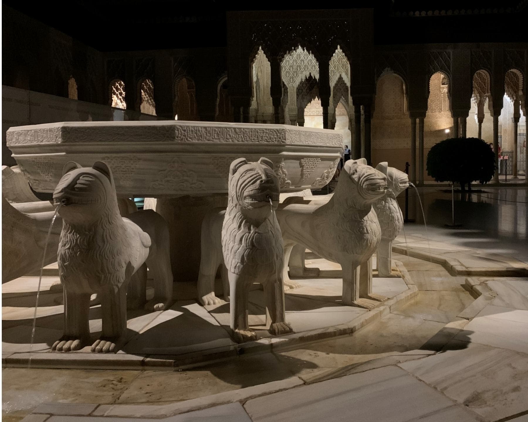 Alhambra nocturna: Palacios Nazaríes. Sin entradas incluidas. Grupo reducido