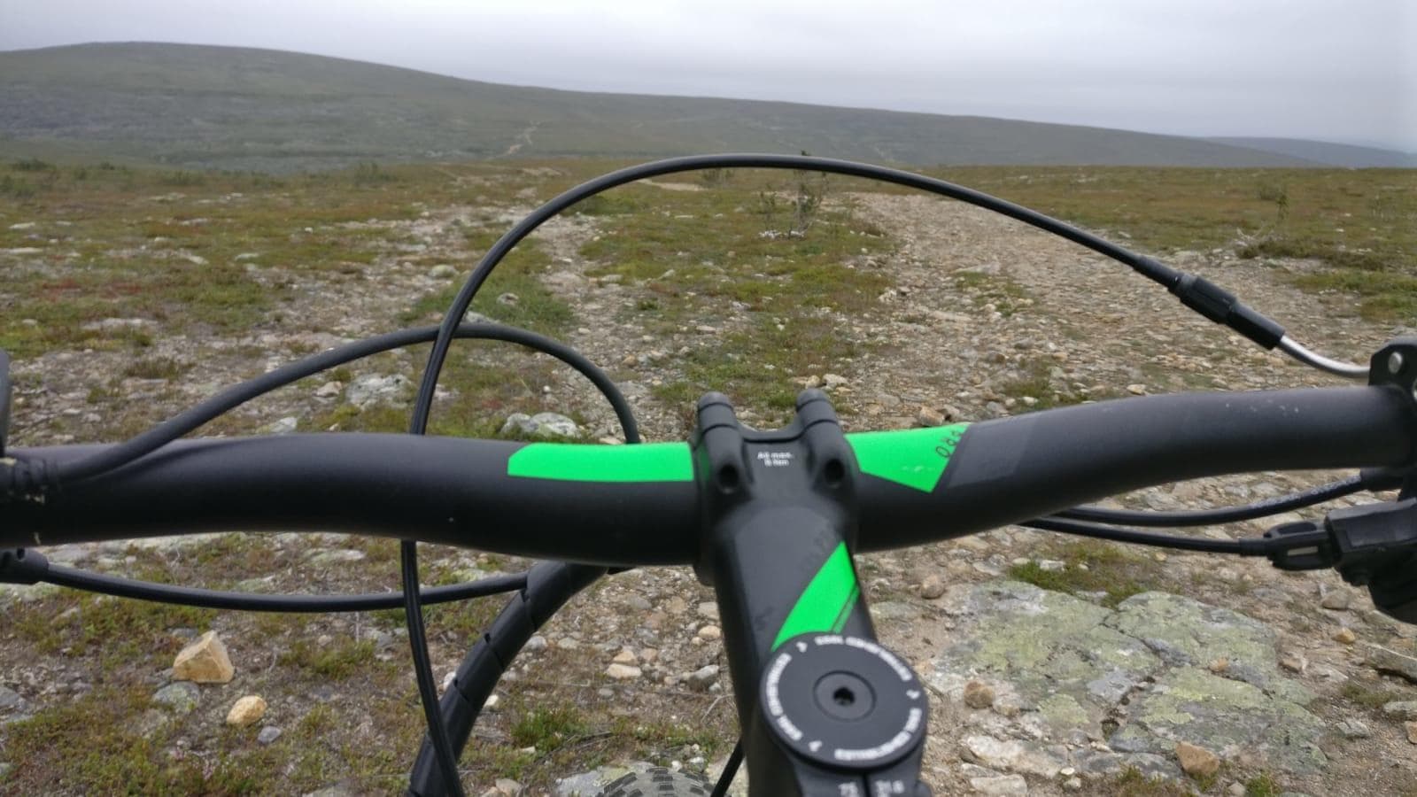 [O1] Electric Fat Bike Safari (2h)