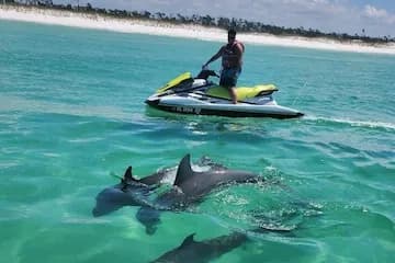 2 Hour Dolphin Tour