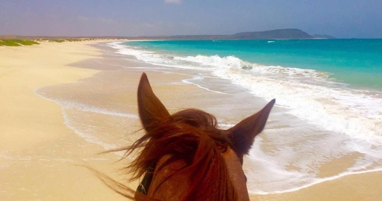 Private Horse Excursions Salt Flats Trail, Kite Beach & Sand Dunes Trail