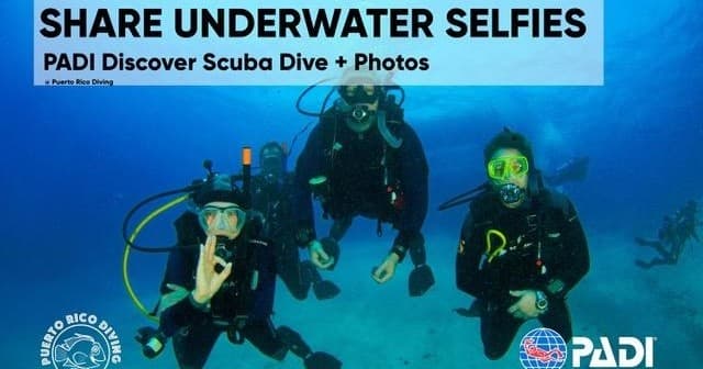 Discover Scuba Dive + Photos