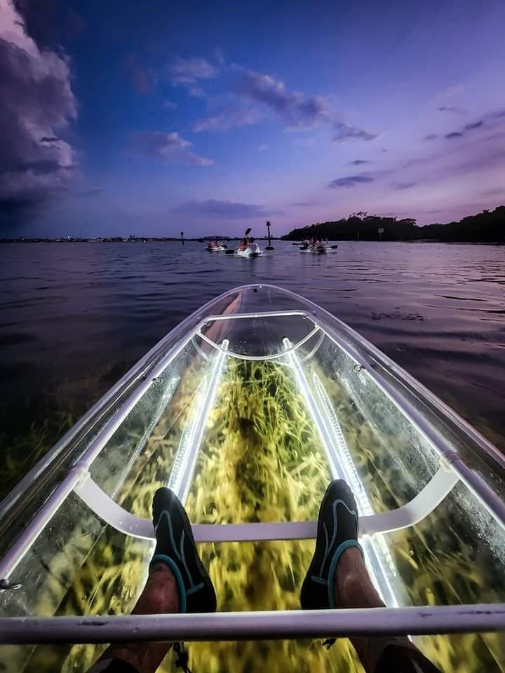 Clear Kayak L.E.D. Night Tour- AMI / Bradenton Mangroves