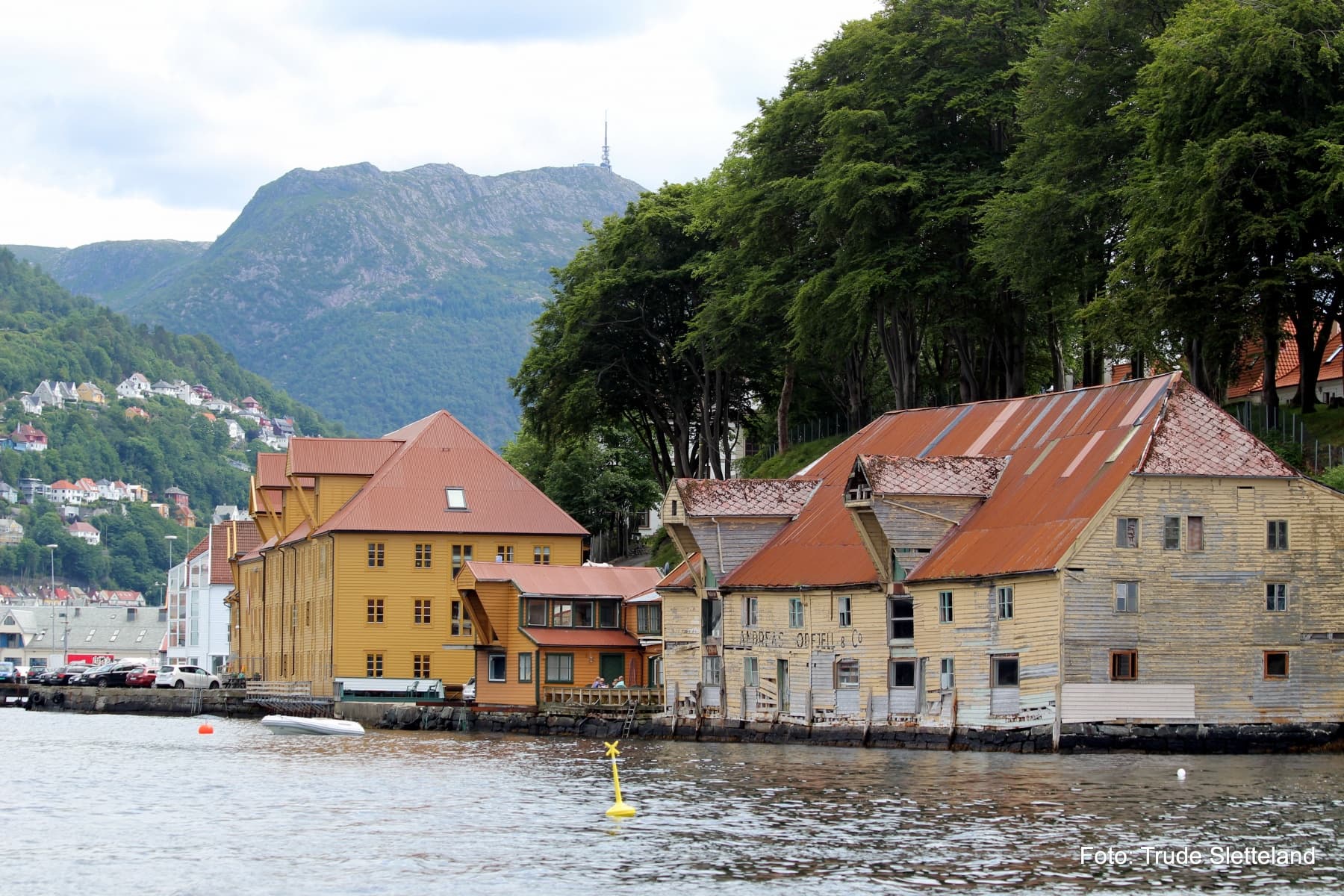 Experience Bergen from the Fjord: Private Tour