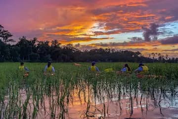 PB Private Kayak Tours & Instruction