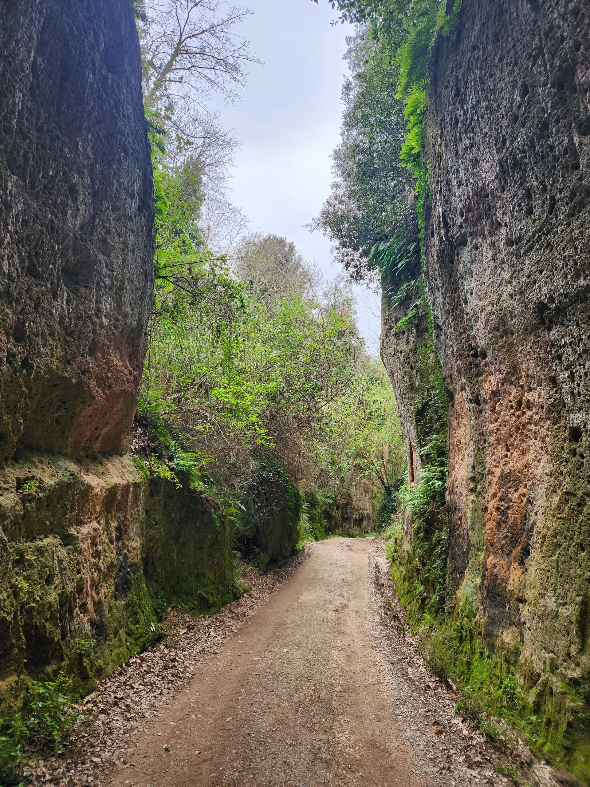 Etruscan & Medieval Wonders: Full-Day Tour of Sovana, Sorano & Pitigliano