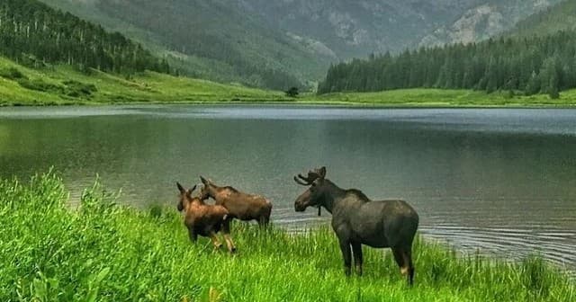 Piney Lake