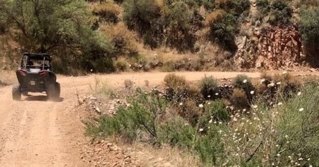 Half Day | Adventure to Williams Family Ranch