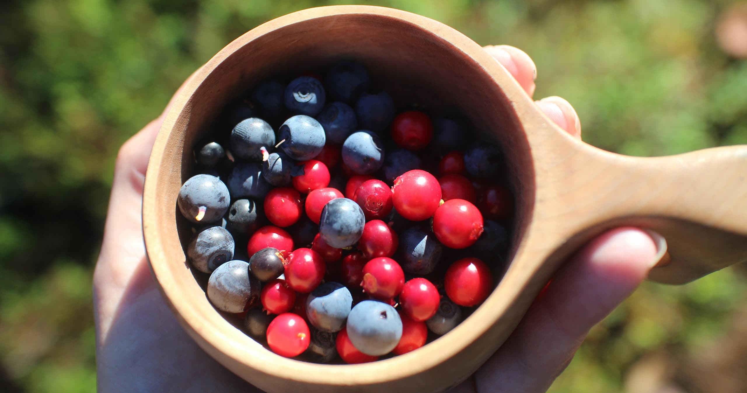 Forest Treasures Excursion