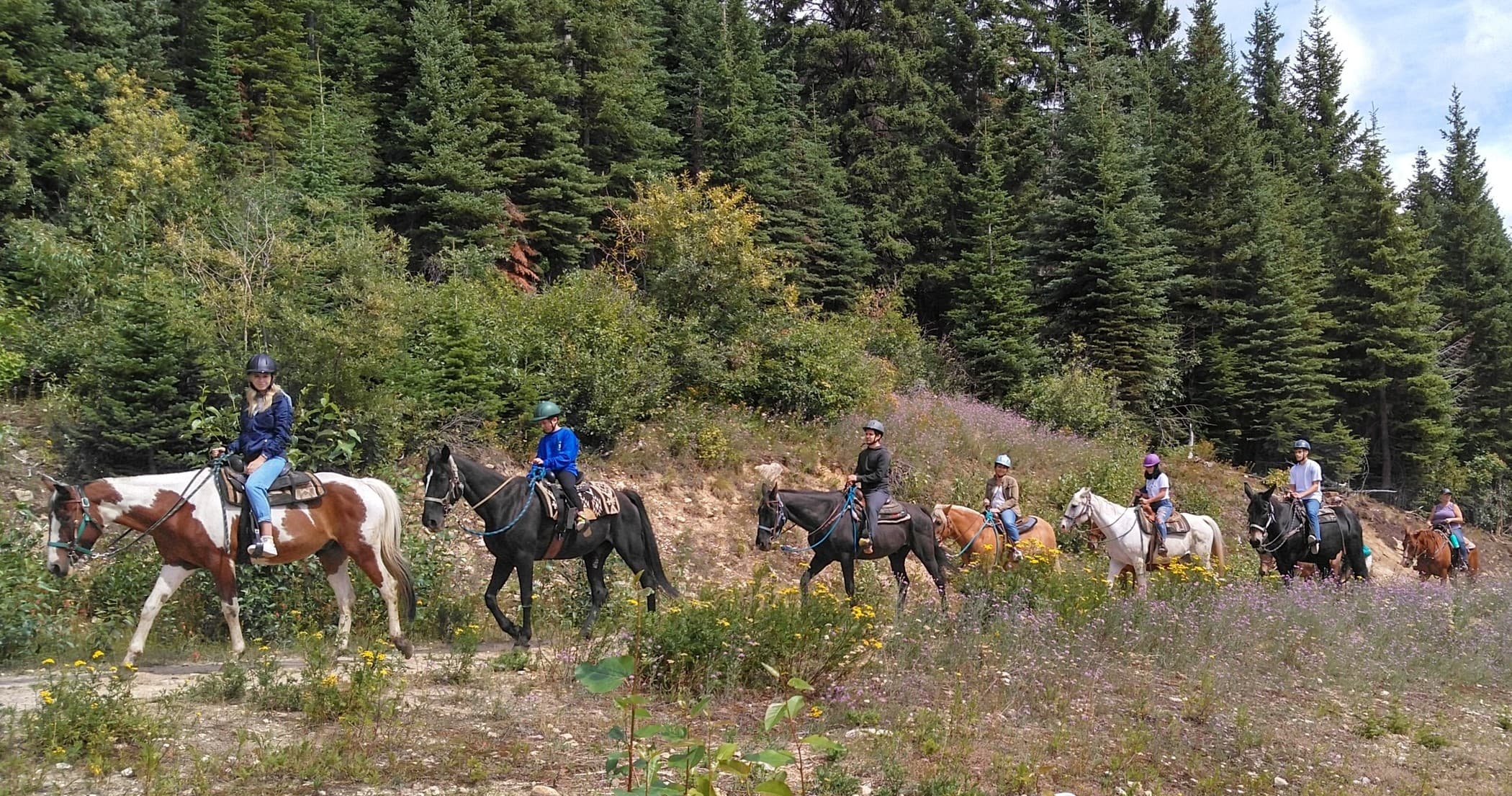 Group Horseback Ride