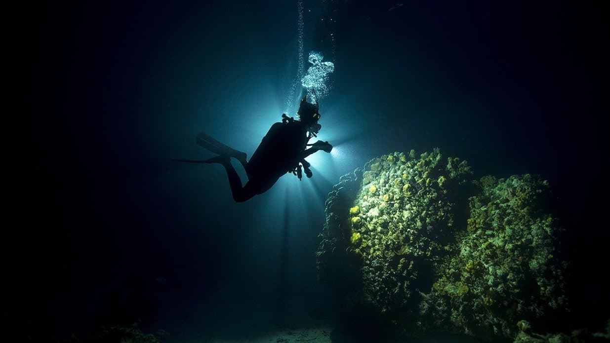 PADI Specialties (3 dives)