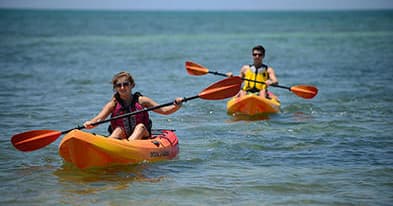 Single Kayak Rental