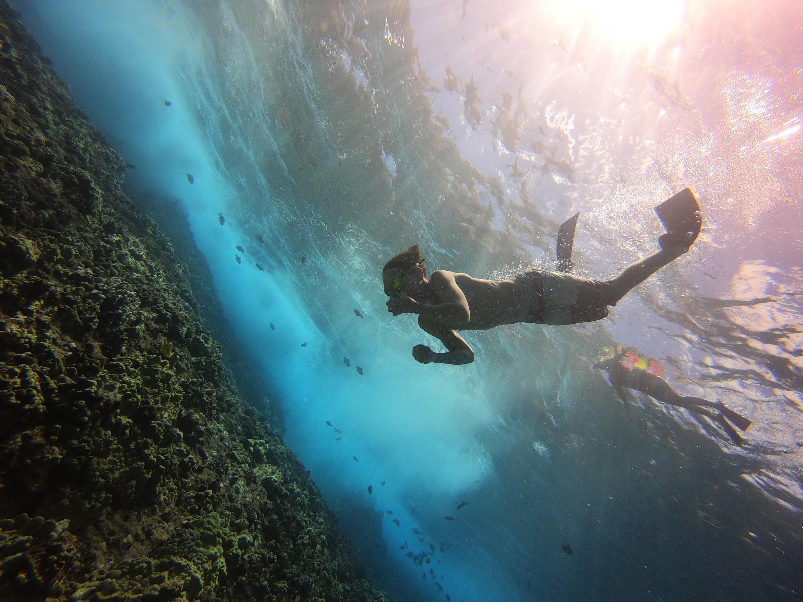 Signature Deluxe Snorkel
