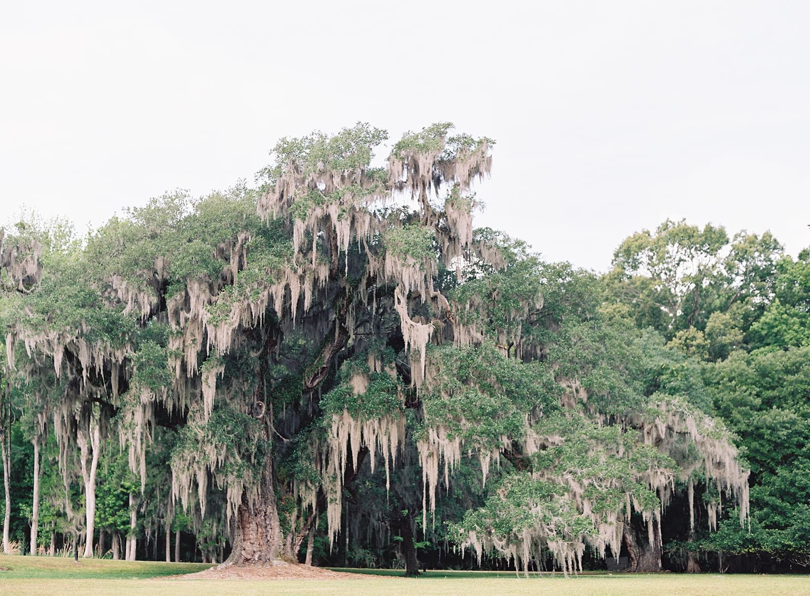 Grounds & Galleries Admission