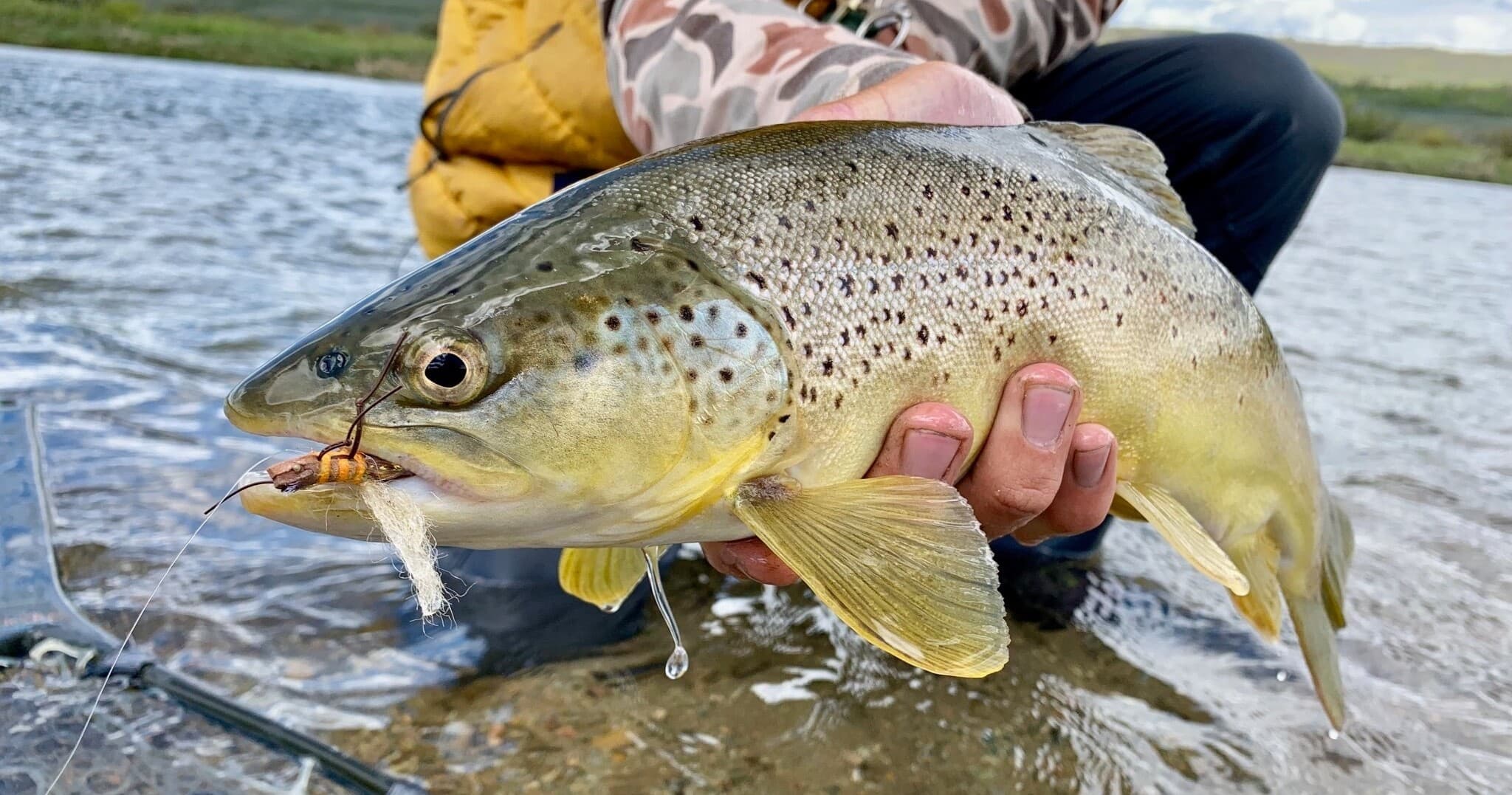 Drift Boat Fly Fishing Trip (Full Day)