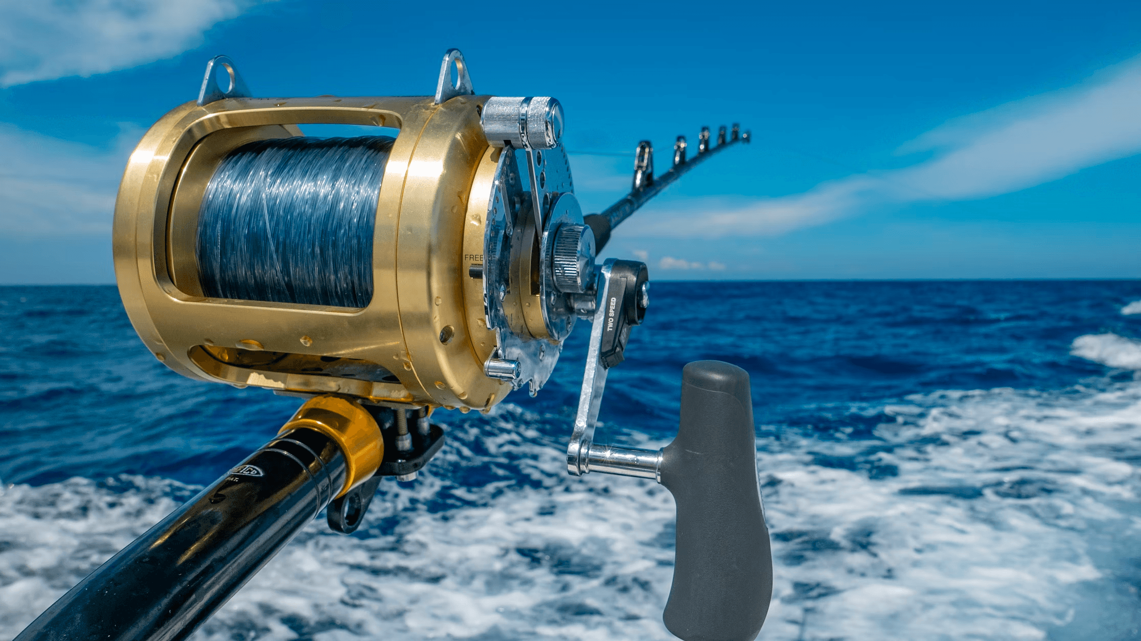 12 Hour Fishing Charter - Deepwater