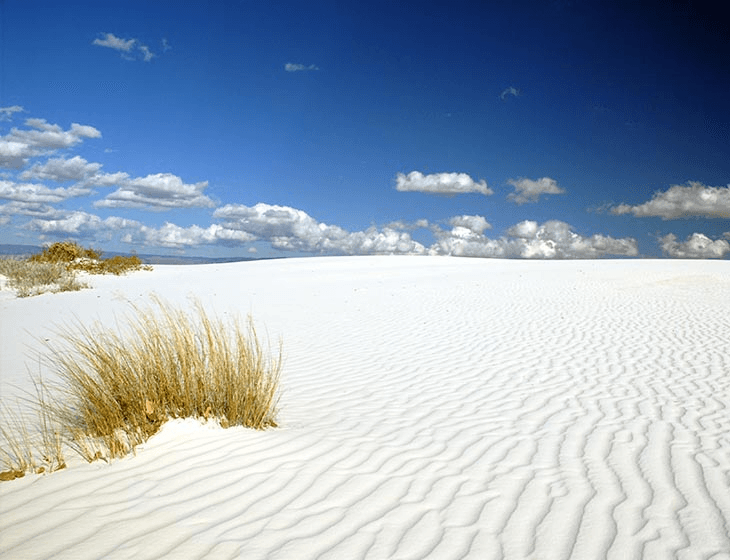 Sandboard Rentals