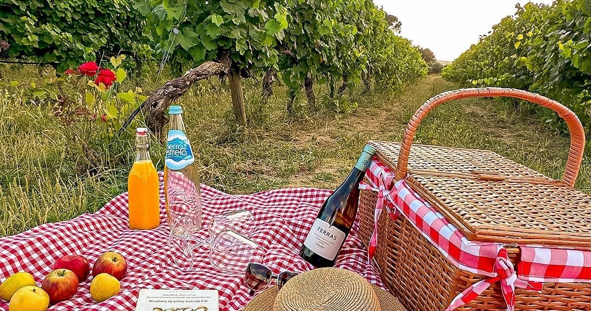 Serra da Estrela Picnic Experience