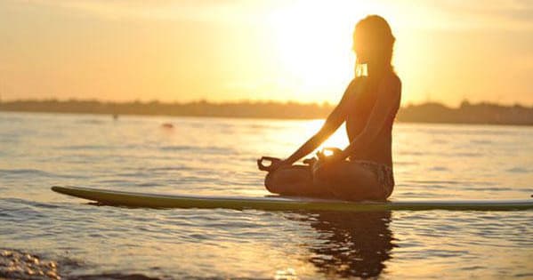 Two Hour Paddle Board Rental