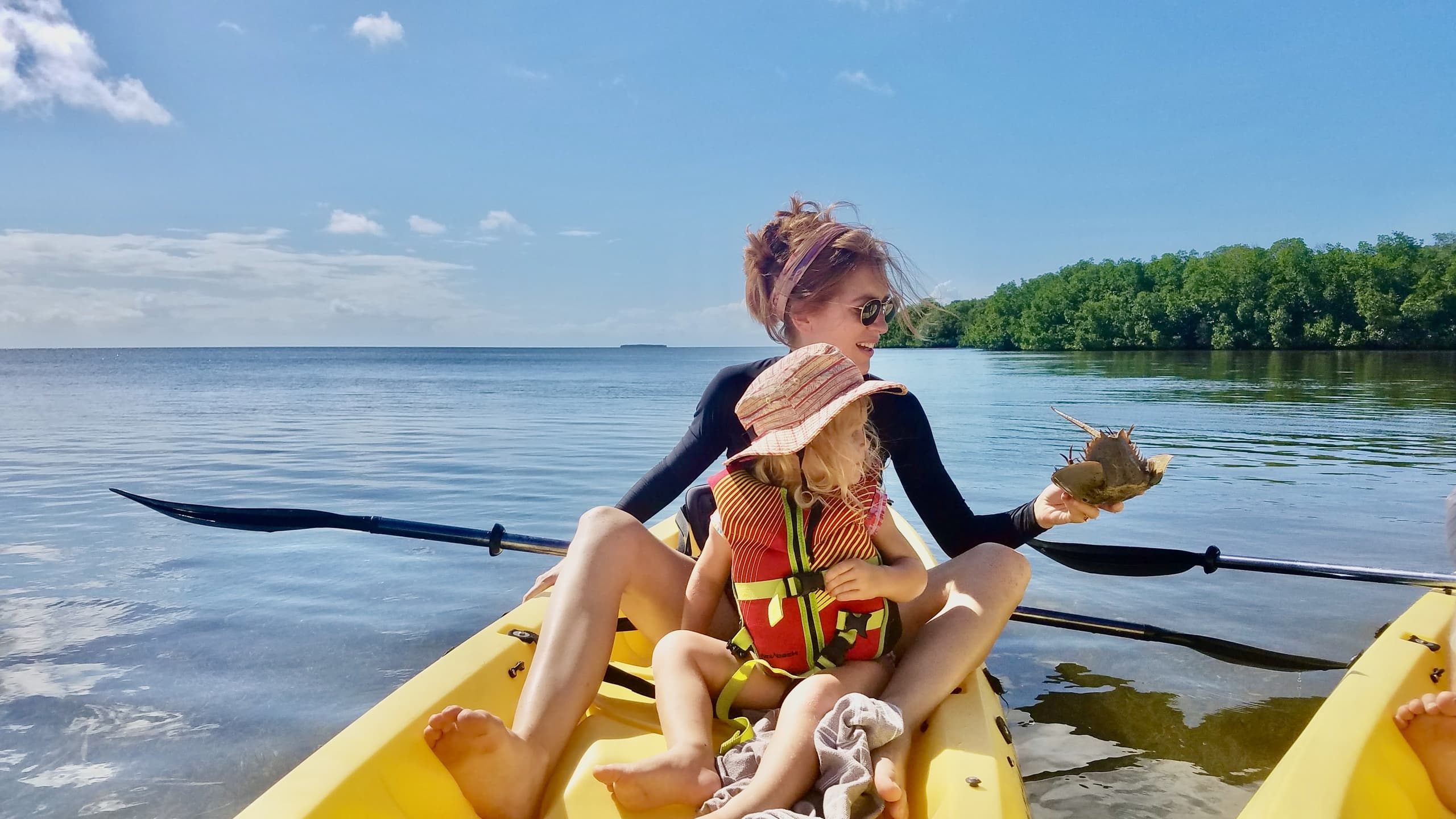 Kayak + Guided Snorkel & Morning Sail