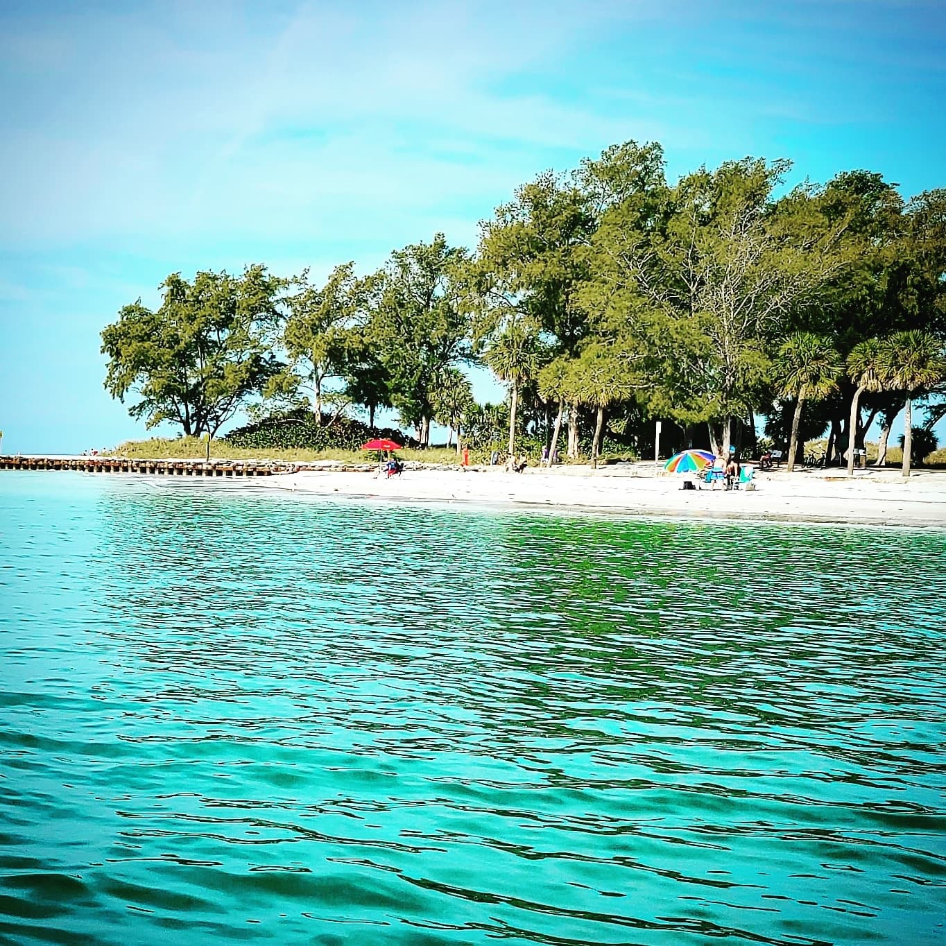 Destination and/or Special Occasion Cruise