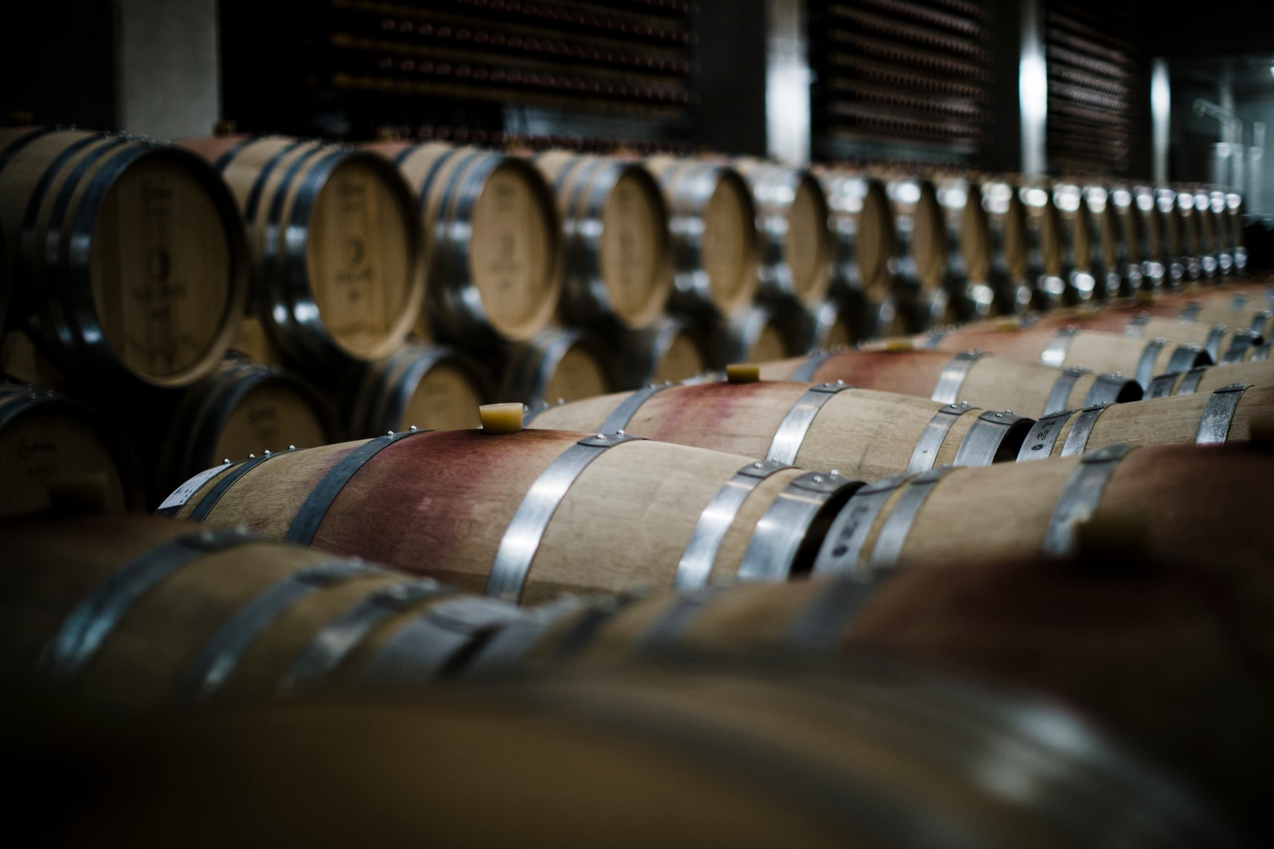 Prova de vinhos na região de Lisboa (dia inteiro)