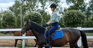 Single Horse Riding Lesson