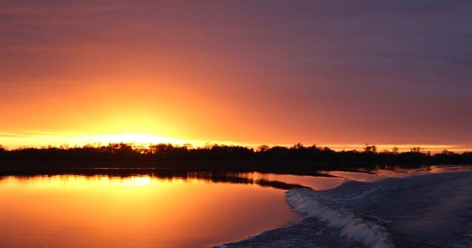 Boat Tour of Inner Lakes of Lough Ree
