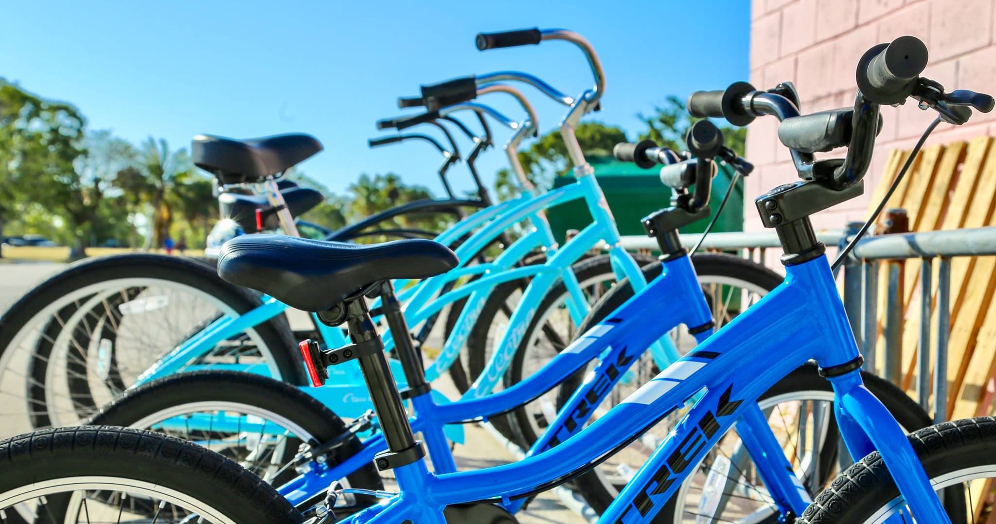 4 Hour Bike Rental