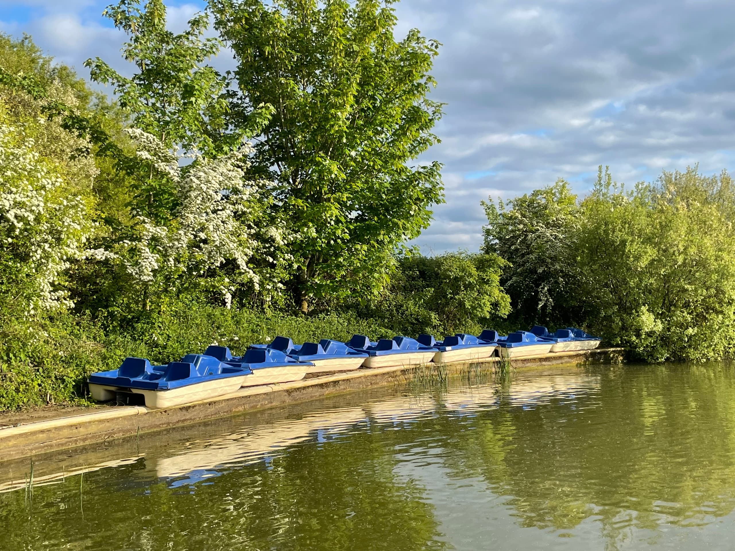 Pedalos