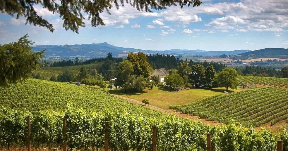 Willamette Valley Wine Tour