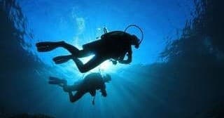 Finz Night Dive
