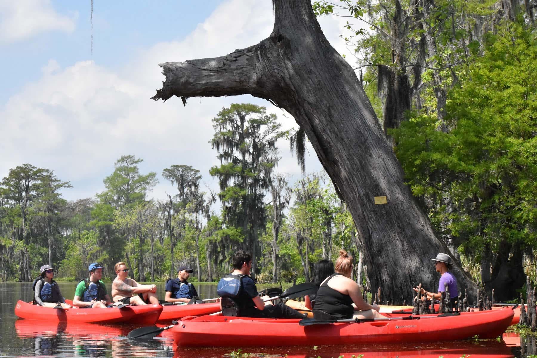 Manchac Swamp Wildlife Kayak Tour