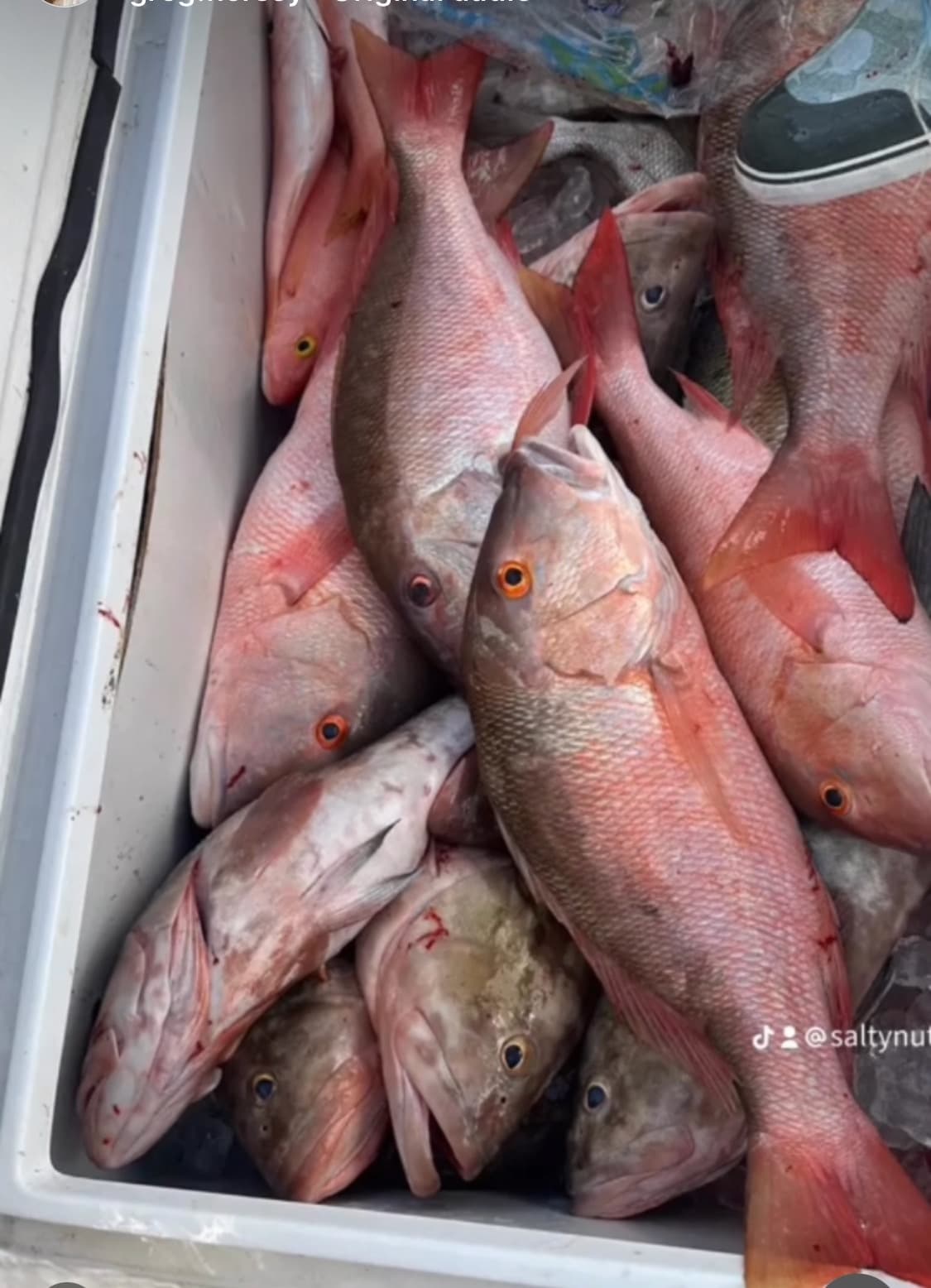 Full Day Off Shore Fishing