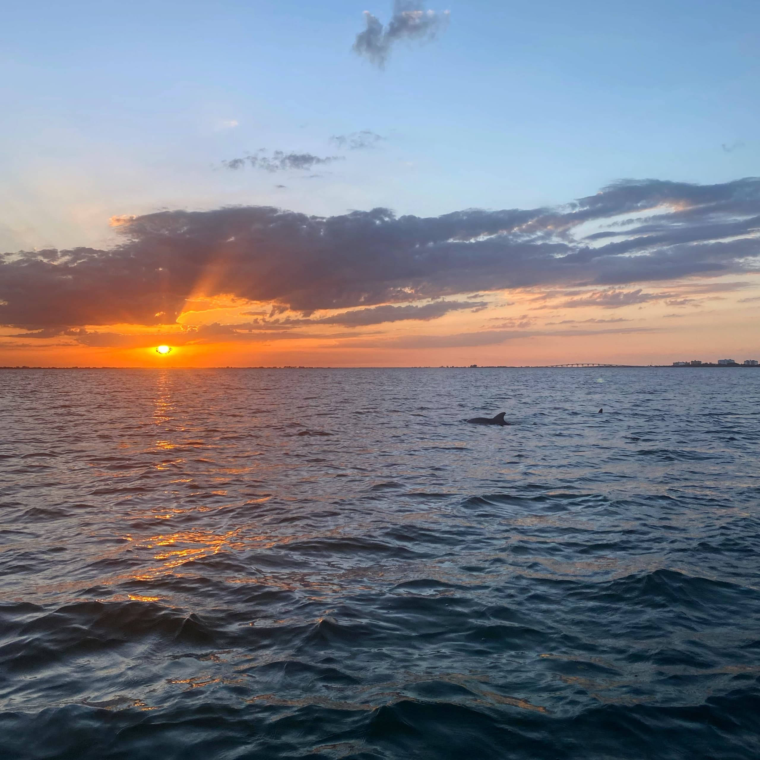 Sunset and Dolphin Tiki Cruise