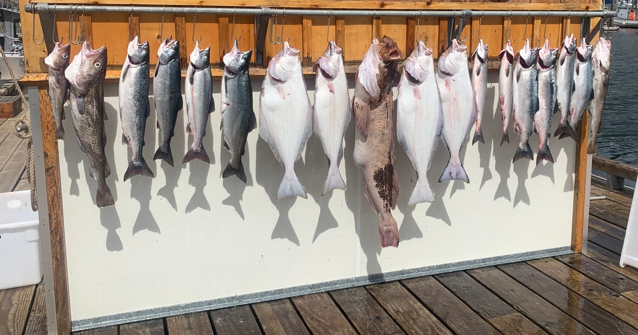 Multi Species Trip - 6 hours