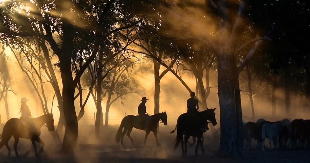 Waitlist - Champagne & Charcuterie Trail Ride