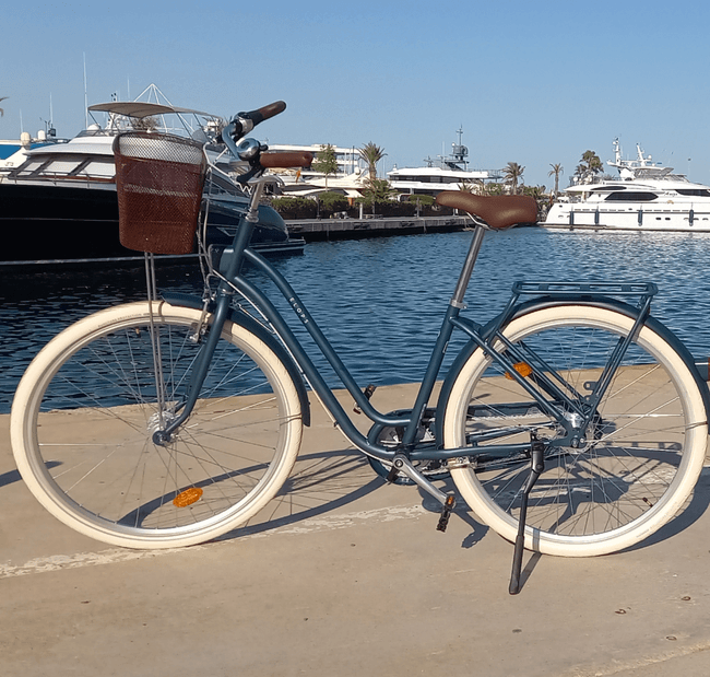 One Day Bike Rental