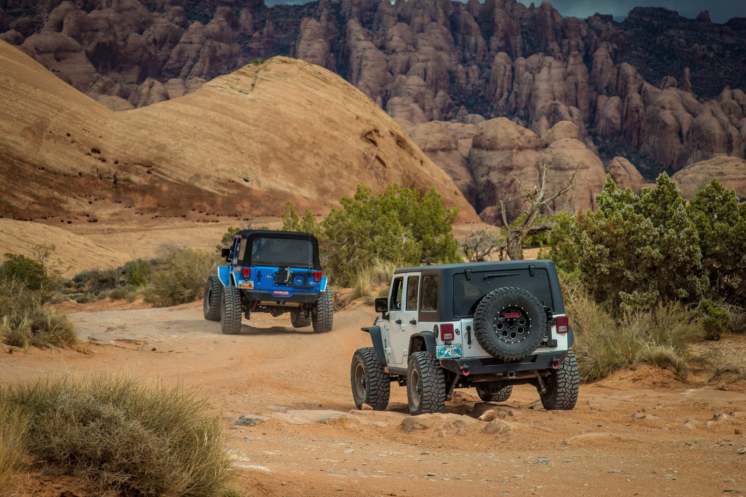 You Drive Guided Jeep Tour 1/2 Day or Full Day Options