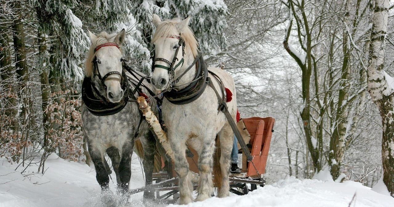 Sleigh Ride near Warsaw