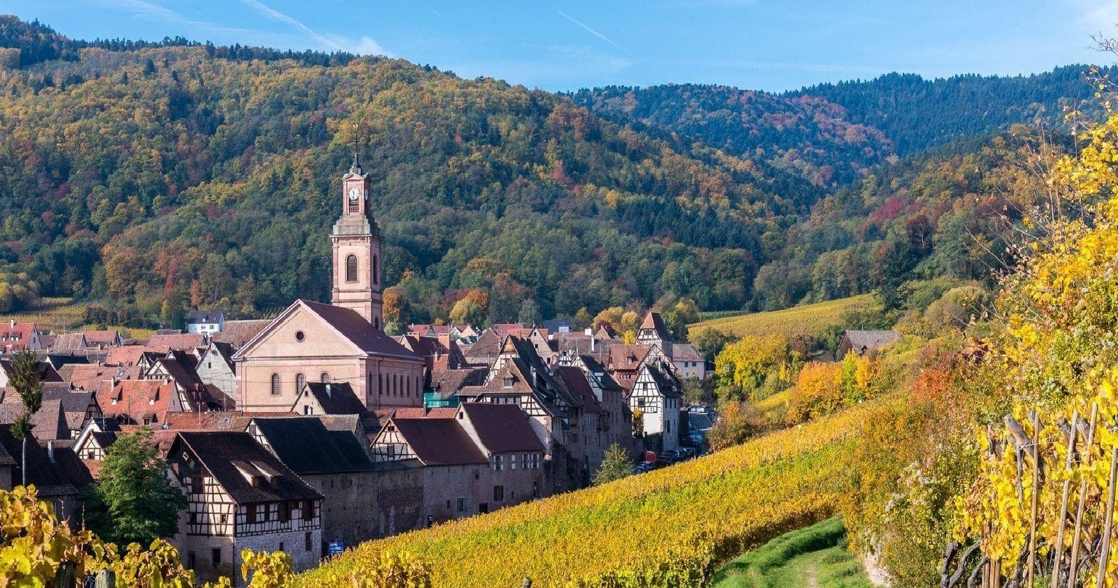 Route du Vin’, Alsace
