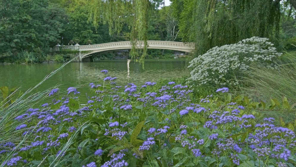 Central Park Secrets and Highlights