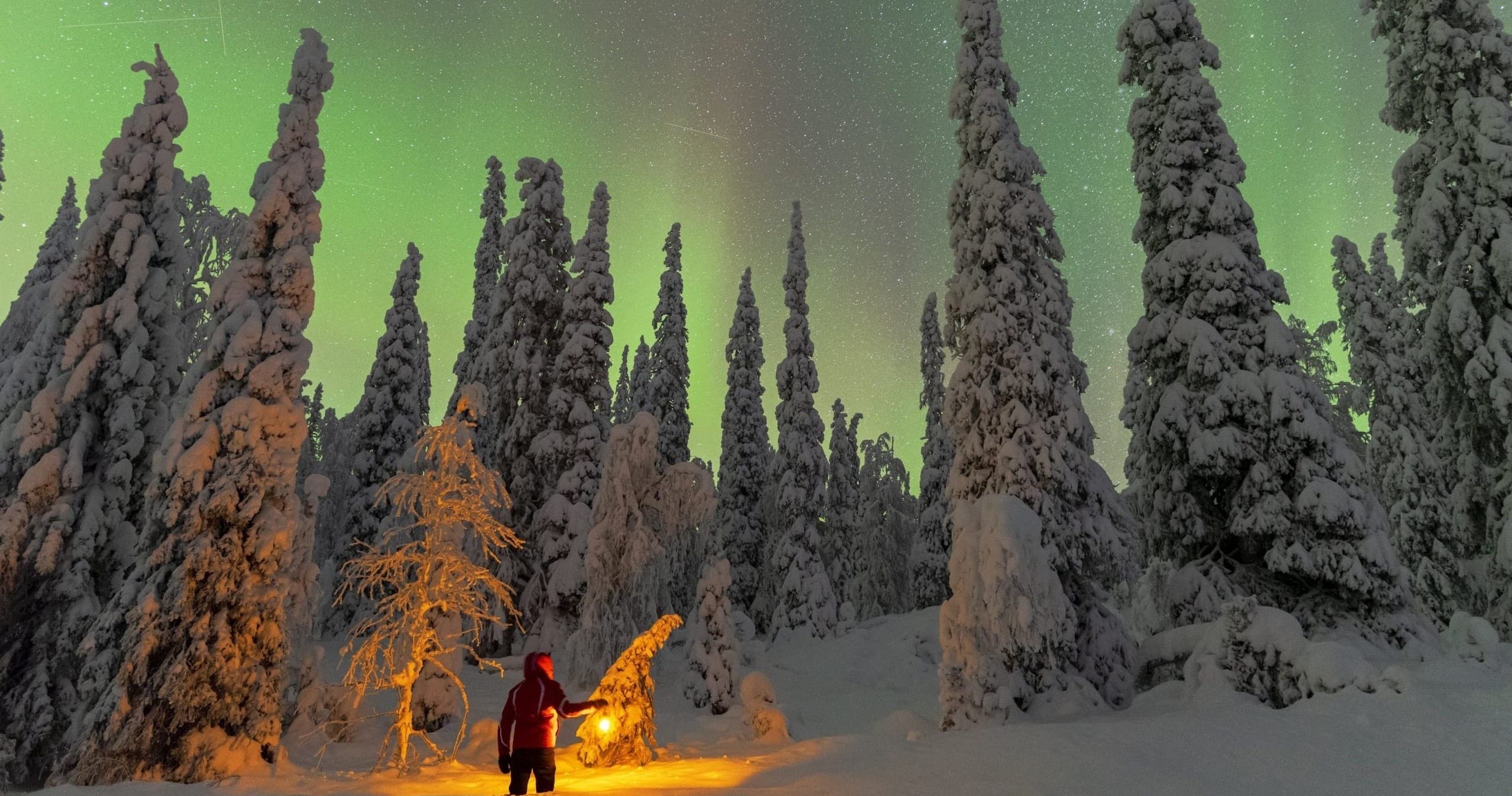 Magic of the Northern Lights