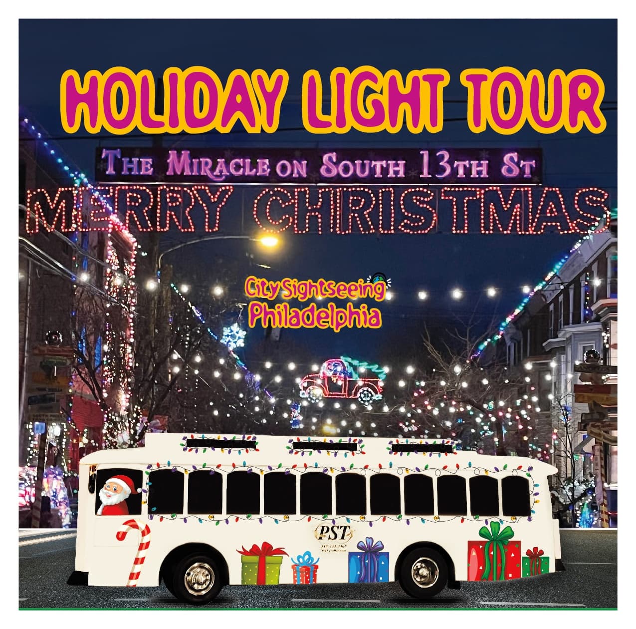 Holiday Lights Tour | Individual