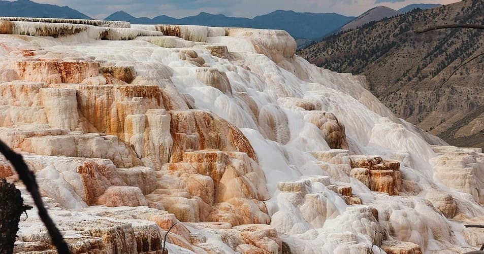 Private Yellowstone Upper Loop Tour