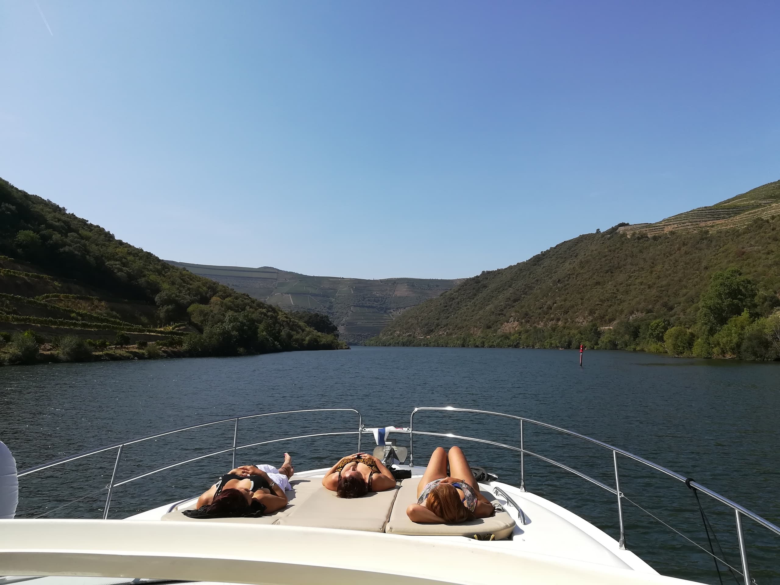 Douro Dayoff PRESTIGE 42S
